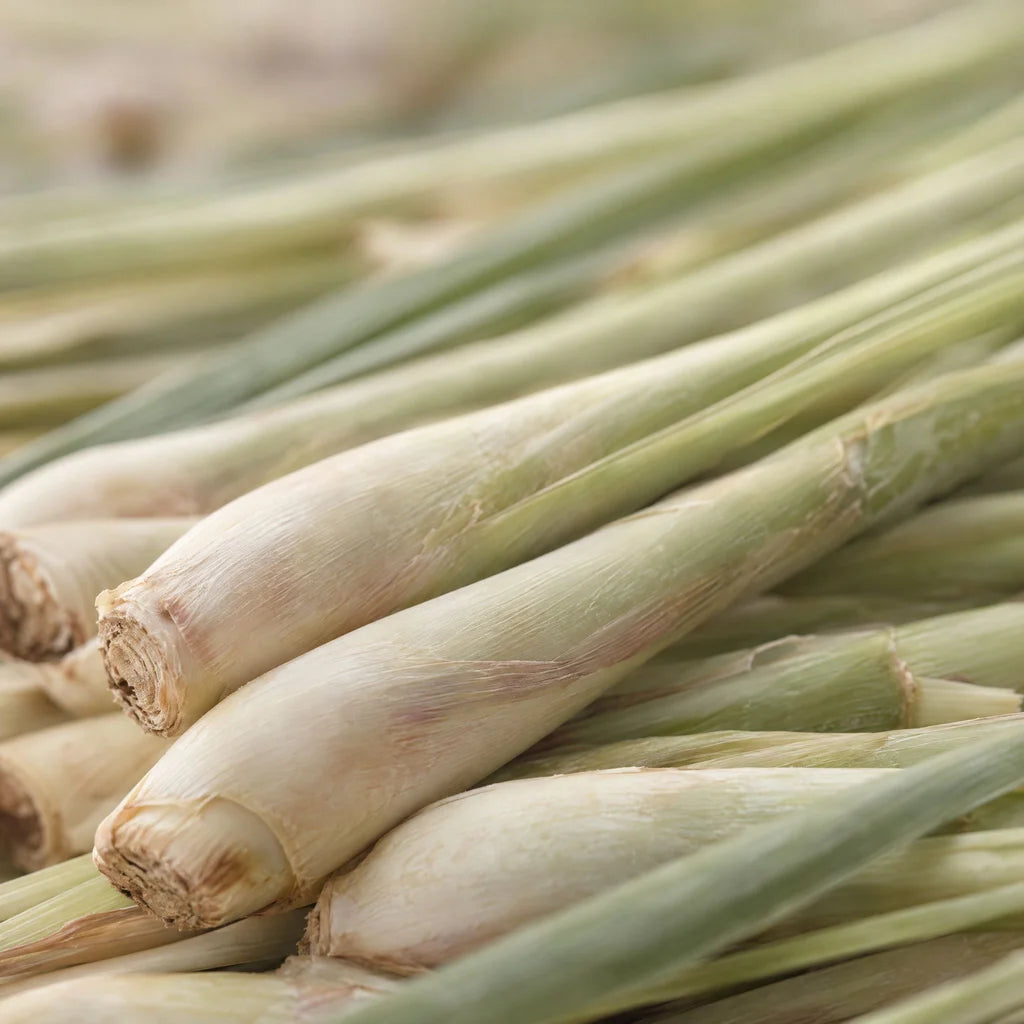 Lemongrass